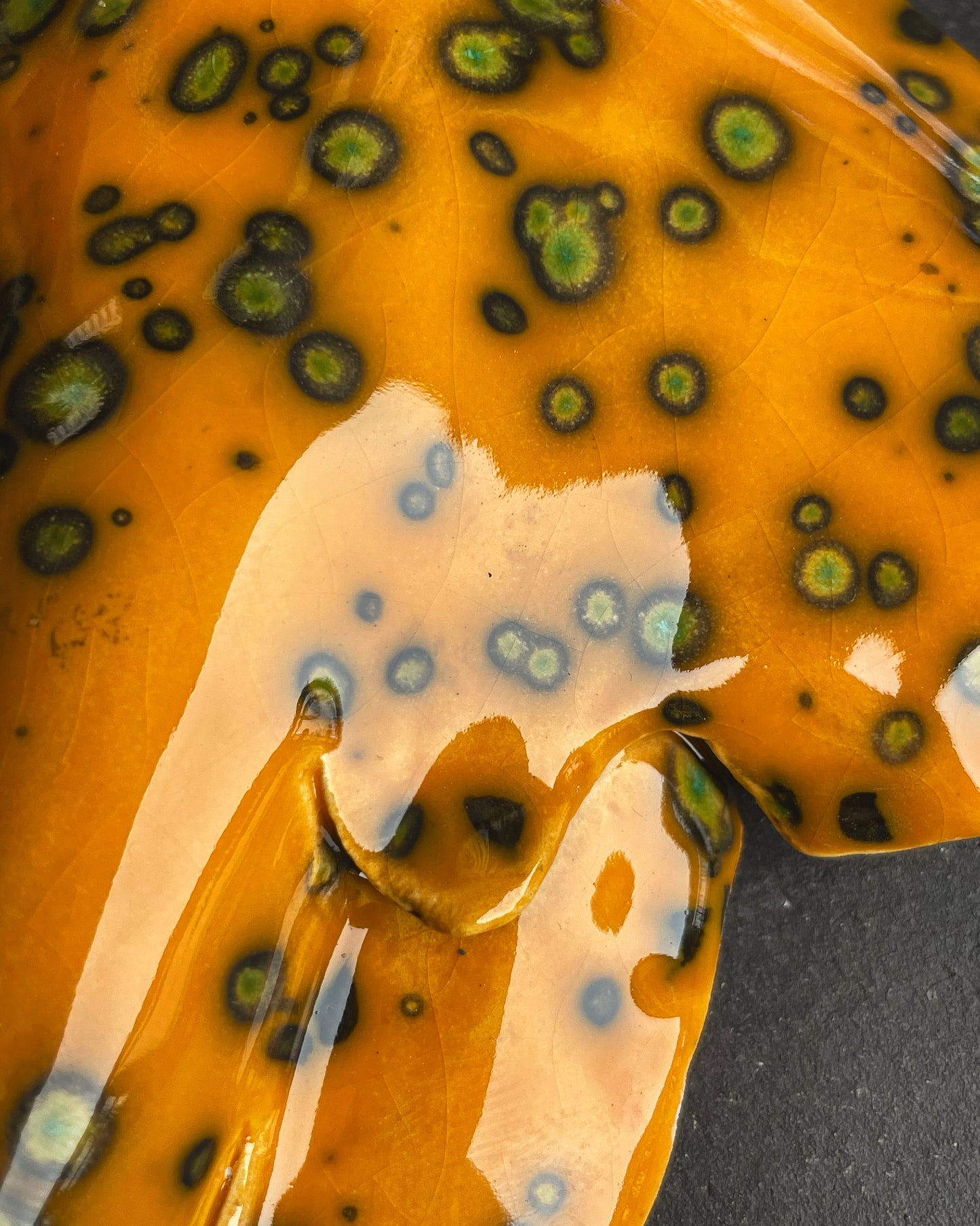 Squatina Papaya Glow