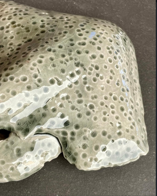 Squatina Forest Shrapnel