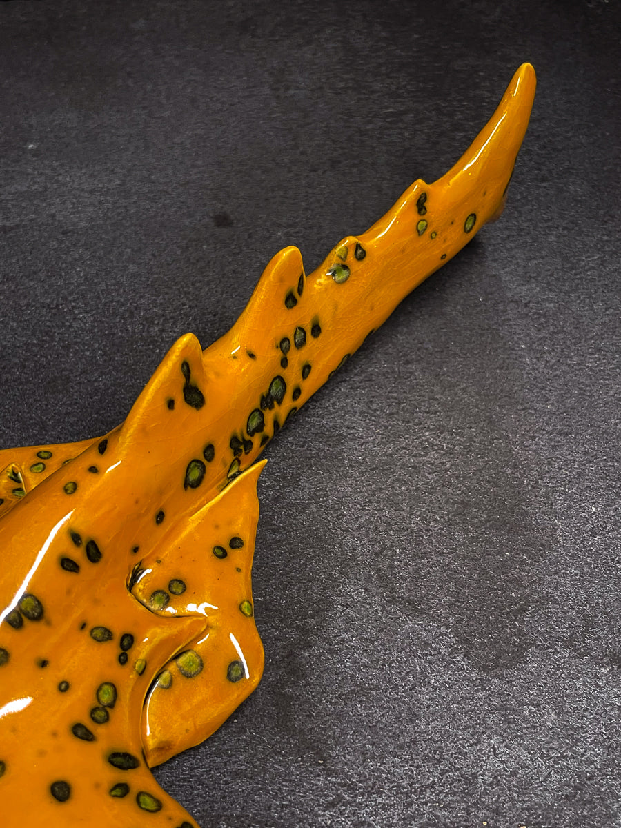 Squatina Papaya Glow