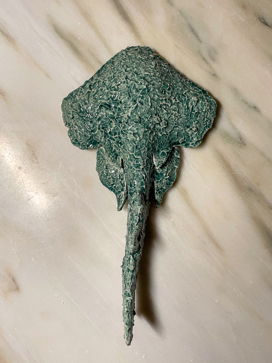 Squatina Forest Blur