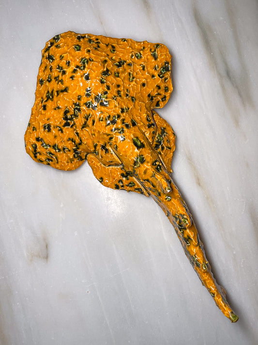 Squatina Papaya Blur