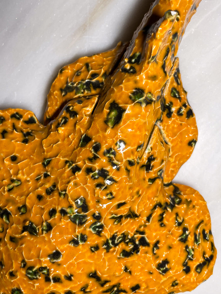 Squatina Papaya Blur