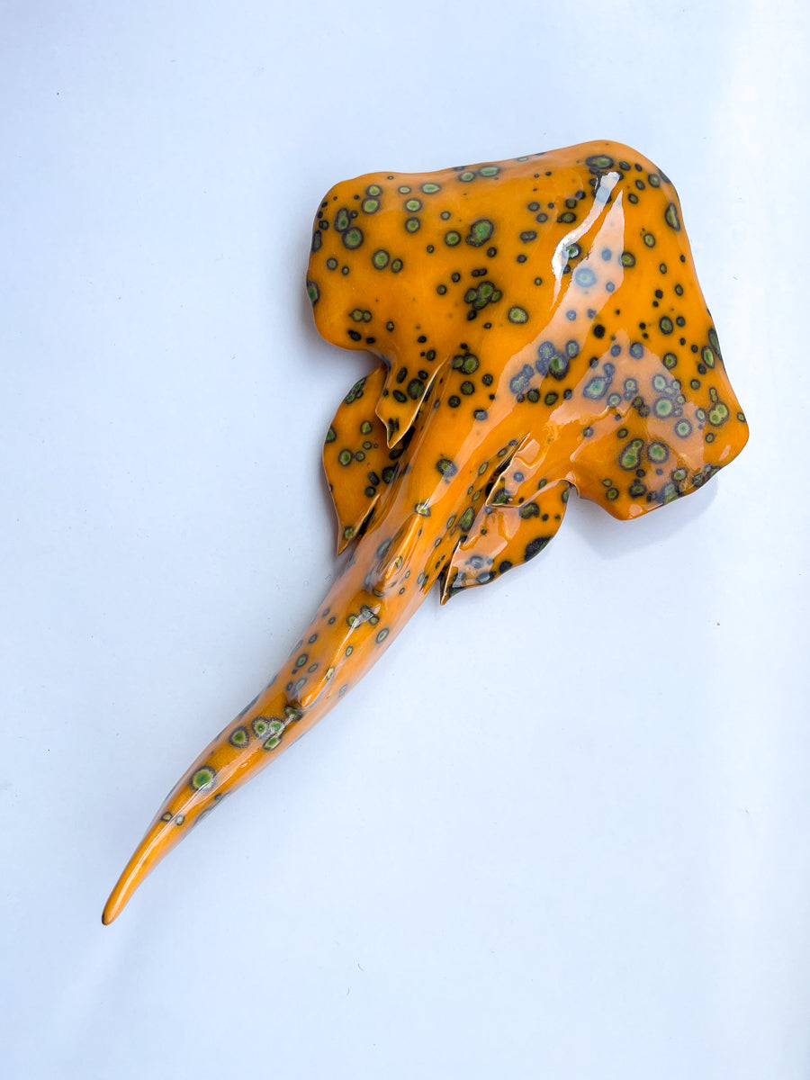 Squatina Papaya Glow