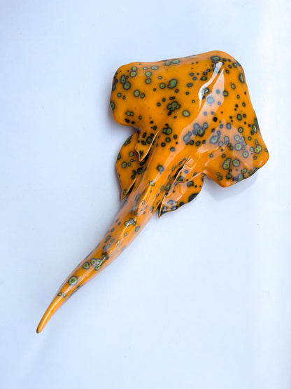 Squatina Papaya Glow